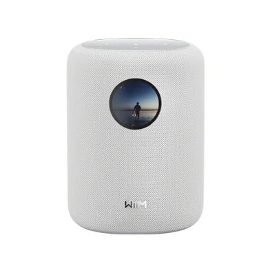 WiiM Sound Wireless Music System-white