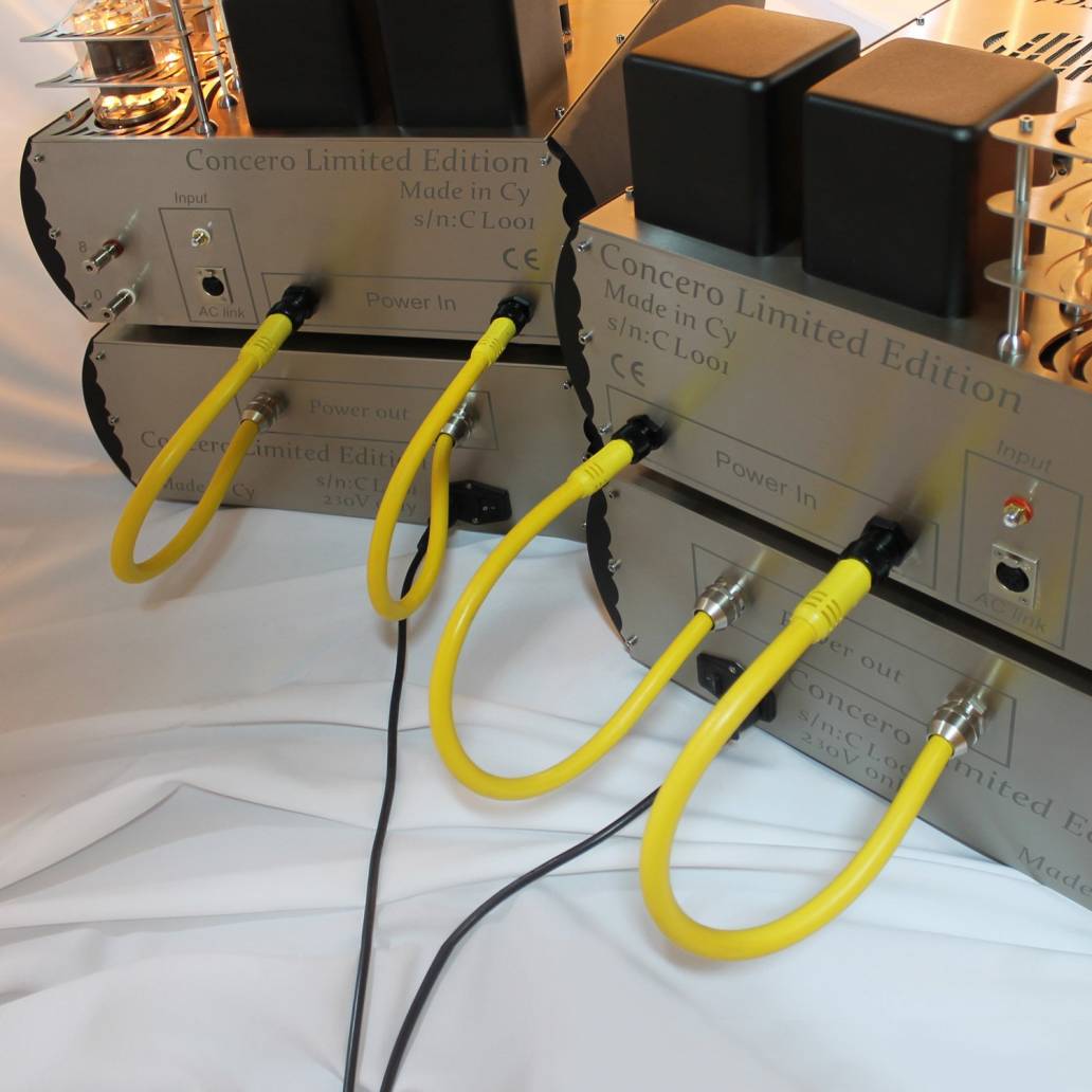 Aries Cerat Concero 65 LE Mono Power Amp-back