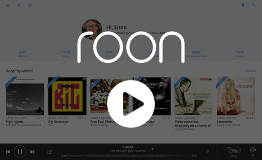 Roonlabs - Talk With Enno Vandermeer (Founder & CEO)