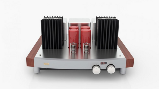 Pathos T.T. Integrated Amplifier - wood side panel- front