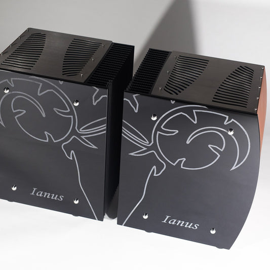 Aries Cerat Ianus QuintEssence Mono Power Amp (Pair)-front