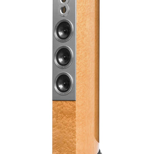 Audiovector R 10 Arreté Floorstanding Speaker-Canadian Birdseye Maple-front