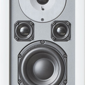 Audiovector Inwall, Onwall or Inceiling Speaker