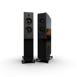 AVID EVO TWO Floorstanding Speaker (Pair)-black