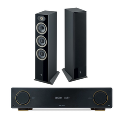 Arcam A15+ + Focal Theva N2 inc cable