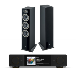 Arcam SA35 + Focal Theva N2 inc cable