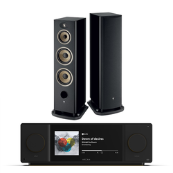 Arcam SA45 + Focal EVO X N4 inc cable