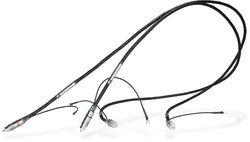 Synergistic Research Atmosphere SX Alive Phono Cable-black