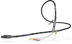 Synergistic Research Atmosphere SX Reference REL Subwoofer Cable-black
