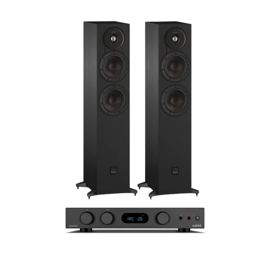 AudioLab 6000A MKII + Dali Sonik 5 inc cable
