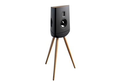 Lyngdorf Cue-100 Standmount loudspeaker