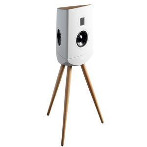 Lyngdorf Cue-100 Standmount loudspeaker
