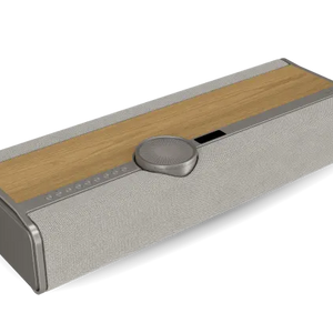 Dali Vega Wireless Speaker