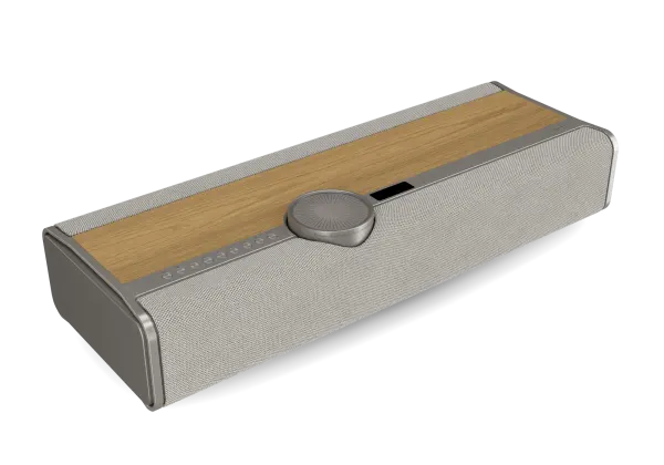 Dali Vega Wireless Speaker