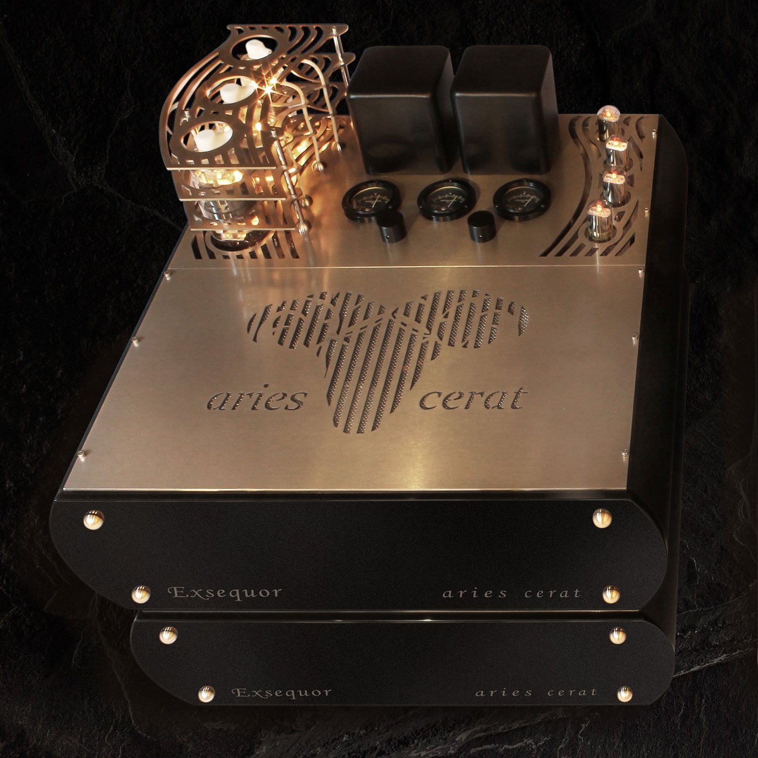 Aries Cerat Exsequor Reference MKII Mono Power Amp (Pair)-top