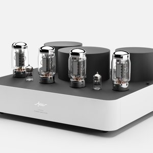 Fezz Titania Power Amplifier