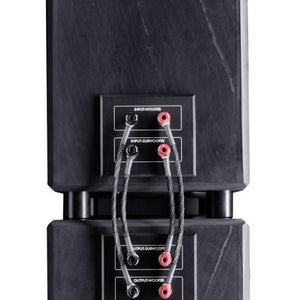 Fischer & Fischer  SN/SL 1000.1 AMT-back