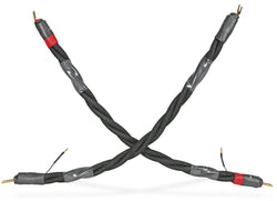 Synergistic Research Galileo Discovery IFT Bi-Wire Cable-black