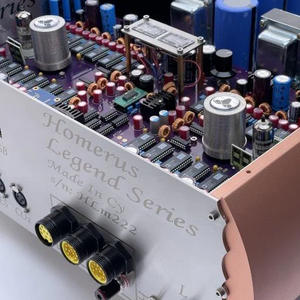 Aries Cerat Homerus Legend DAC-back-open chassis