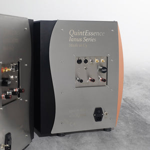 Aries Cerat Ianus QuintEssence Mono Power Amp (Pair)-back