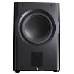 Perlisten R210s Subwoofer