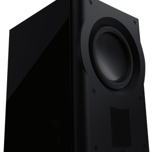 Perlisten R212s Subwoofer