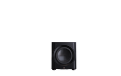 Perlisten R10s Subwoofer