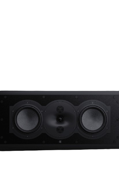 Perlisten R5i-C In-wall Speaker