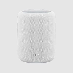 WiiM Sound Lite Wireless Music System-front-white