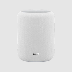 WiiM Sound Lite Wireless Music System-front-white