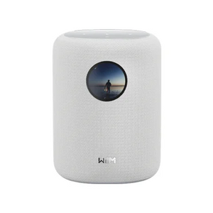 WiiM Sound Wireless Music System-white