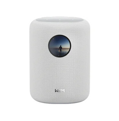 WiiM Sound Wireless Music System-white