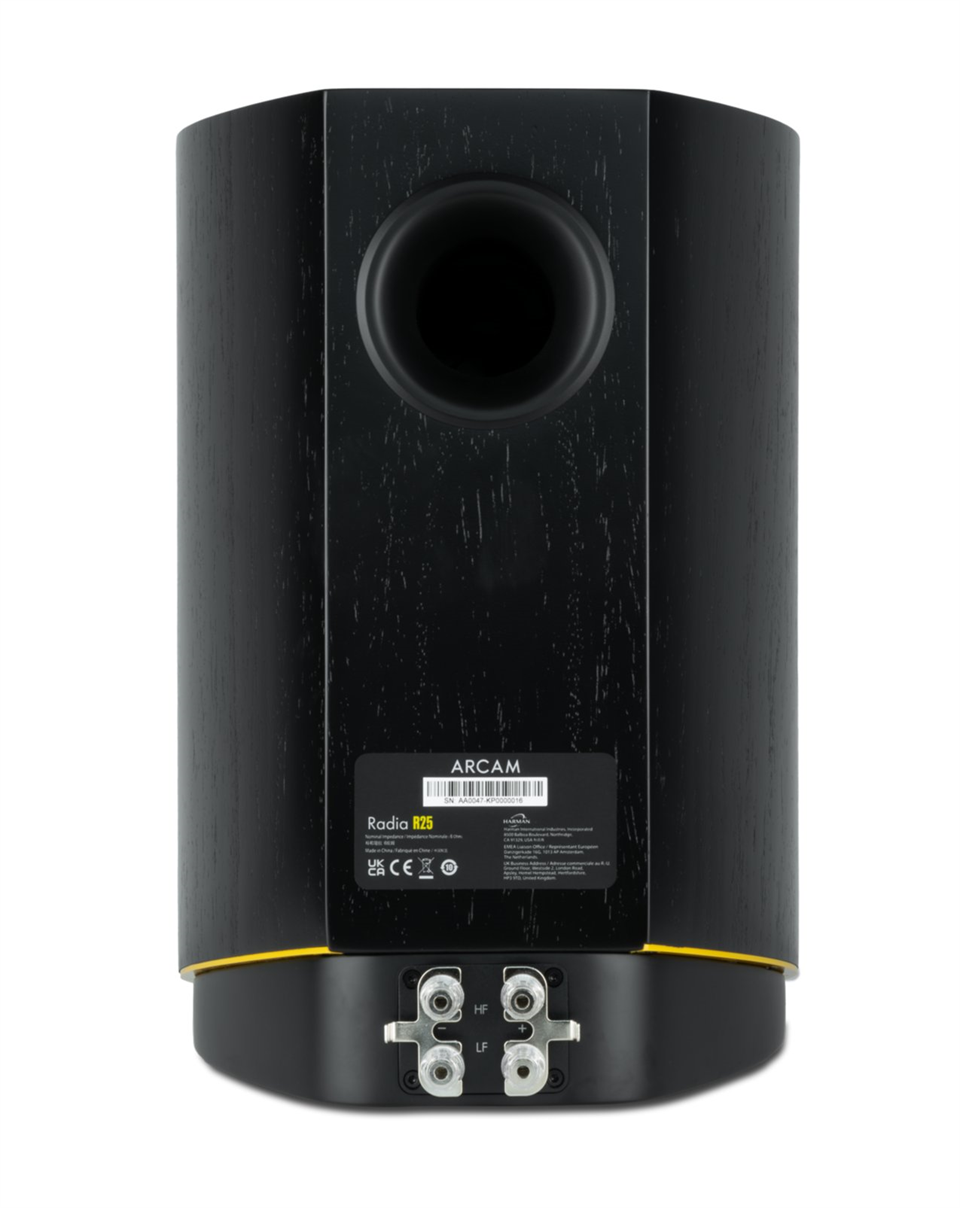 Arcam R25 Rear