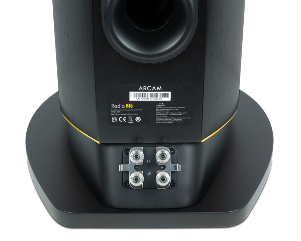 Arcam R45 Rear