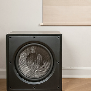 Velodyne Acoustics VI-Q 10 Subwoofer