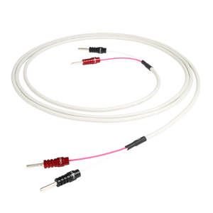 Chord RumourX Speaker Cable Terminated (Single)