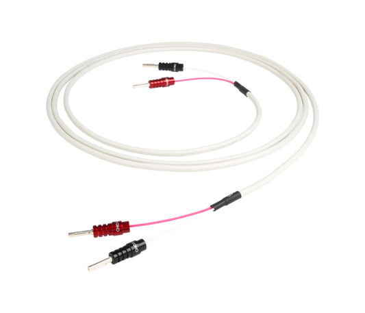 Chord RumourX Speaker Cable (Single)