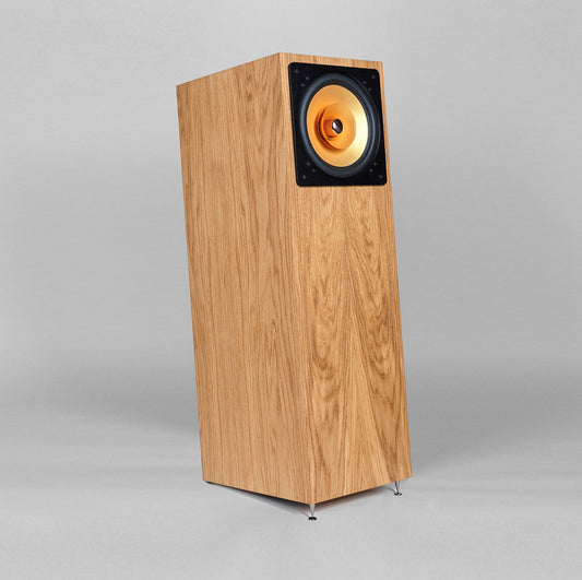 Cube Audio Jazzon Floor Standing Speakers