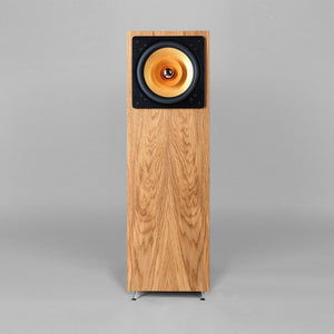 Cube Audio Jazzon Floor Standing Speakers